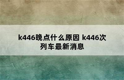 k446晚点什么原因 k446次列车最新消息